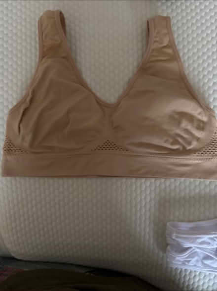 Photo of free Bra tops (Sunny Hill DE23) #1