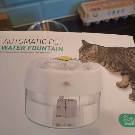 Photo of free New Small dog or cat flap, water gountain (Old Town TN40) #3