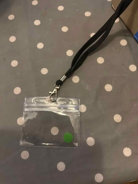 Photo of free Lanyards with name tag holders (Lydford EX20) #1
