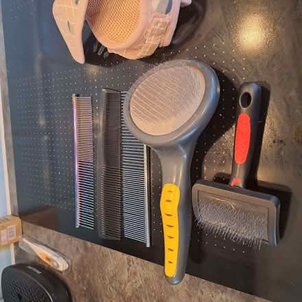 Photo of free Complete grooming kit dog or cat (Old Town TN40) #2