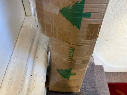 Photo of free Tree without decorations (Southsea PO5) #2