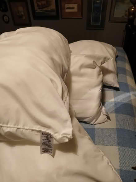 Photo of free 4 x polyester pillows (Woolverton BA2) #1