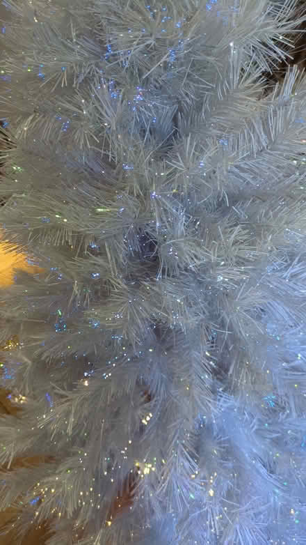 Photo of free White Christmas Tree (Epsom KT18) #3