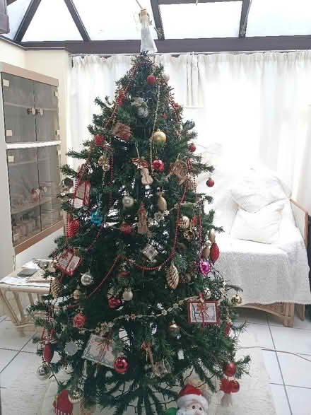 Photo of free Christmas tree 🎄 (Great Yarmouth NR30) #1