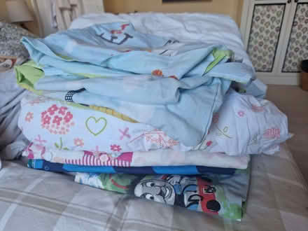 Photo of free Cotbed/ toddler bedding (Bear Flat) #1