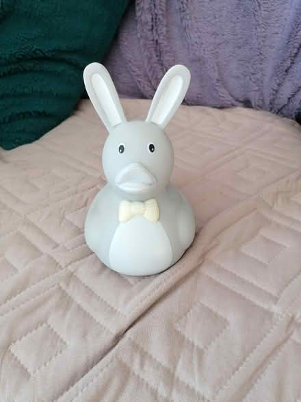 Photo of free Duck (Langney BN23) #1