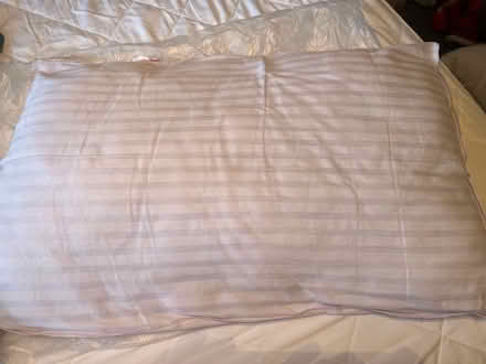 Photo of free pillows (Shipley BD18) #2