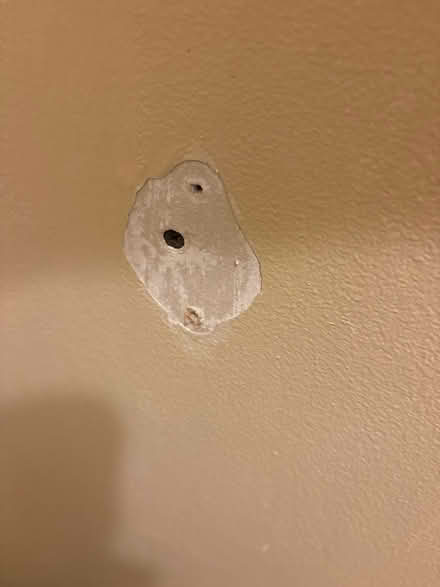 Photo of Material to patch fill hole (L5L 5P5) #4