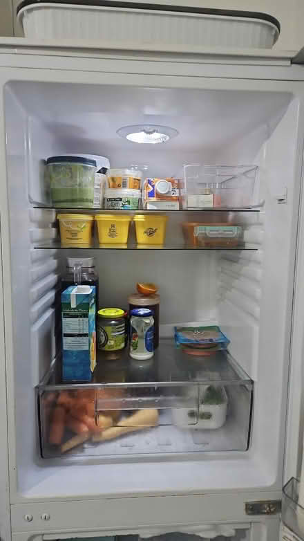 Photo of free Montpellier (N18 Edmonton) #1