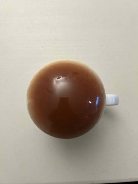 Photo of free Mushroom cup (Campbell) #2