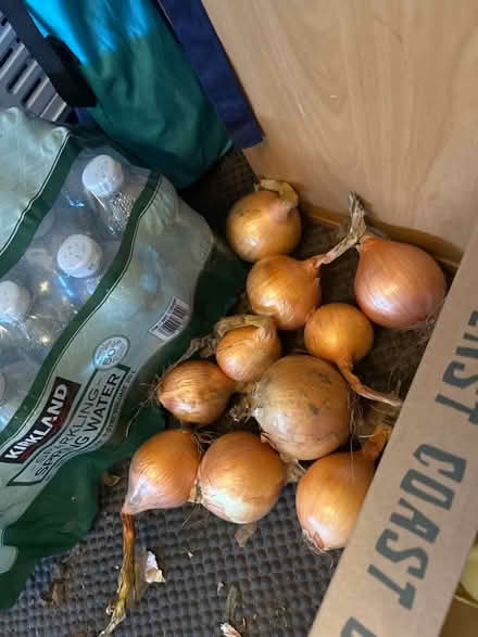 Photo of free Onions (Alnwickhill EH16) #1