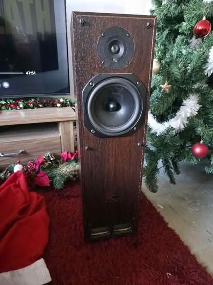 Photo of free 2 standing speakers (Swindon Village GL51) #1