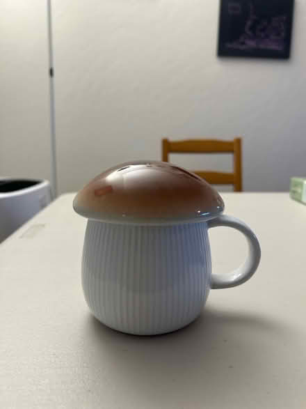 Photo of free Mushroom cup (Campbell) #1