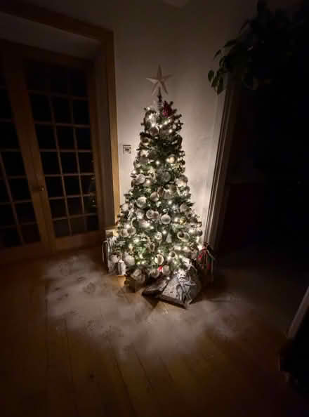 Photo of free Christmas Tree and wreath (UB7 9EF) #3