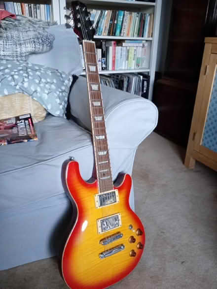 Photo of free Electric guitar (Sherrard's Green WR14) #1