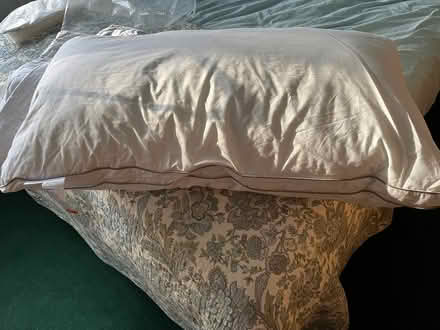 Photo of free King size pillow and protector (Soberton SO32) #1