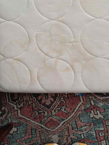 Photo of free Cot bed / animal bed (billericay CM12) #3