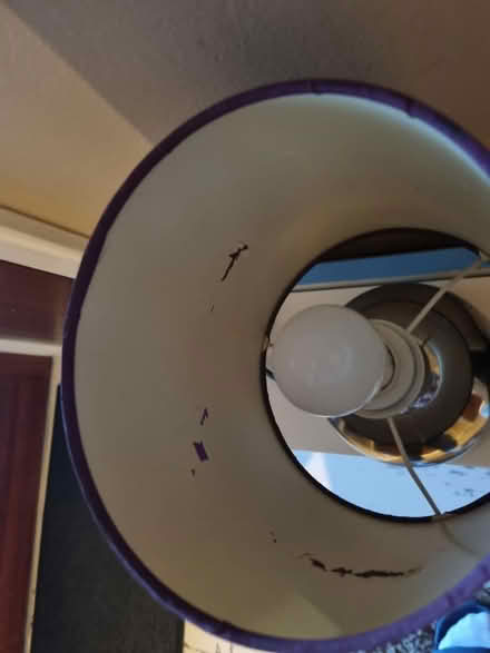 Photo of free Lamp touch 3 settings (SE20) #2