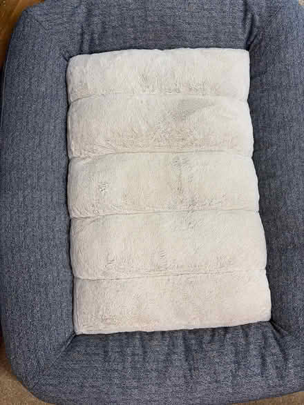 Photo of free Dog bed (Saratoga Herriman Ave) #3