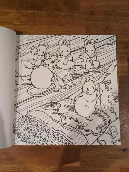 Photo of free Beatrix potter colouring book (New Marston OX3) #2