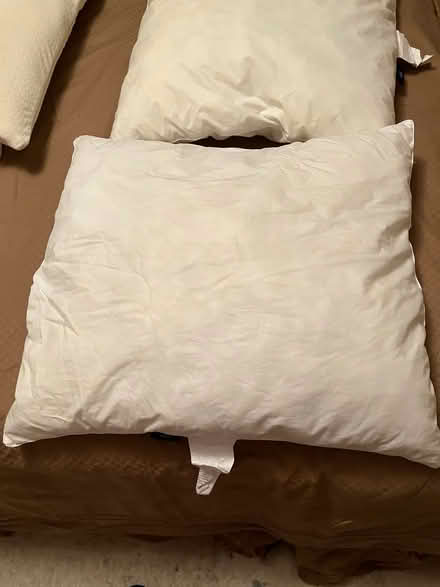 Photo of free 23” x 23” pillows (Kennedy road stop & shop,) #2