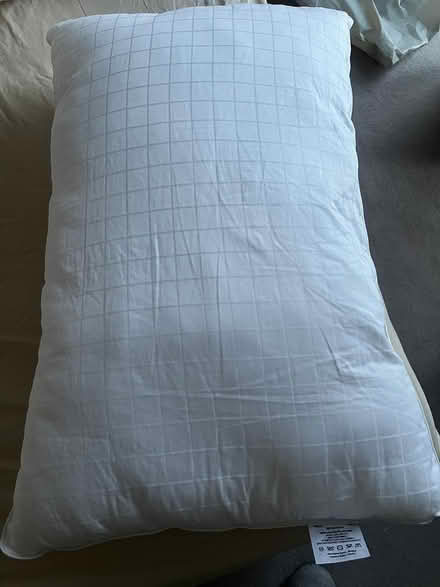 Photo of free Lightly used pillow (Angel N1) #1