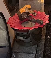 Photo of free Pressure cooker (New Marston OX3) #1