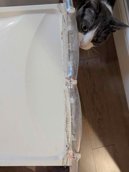 Photo of free Pet Food Containers 25lb capacity (Los Altos) #2