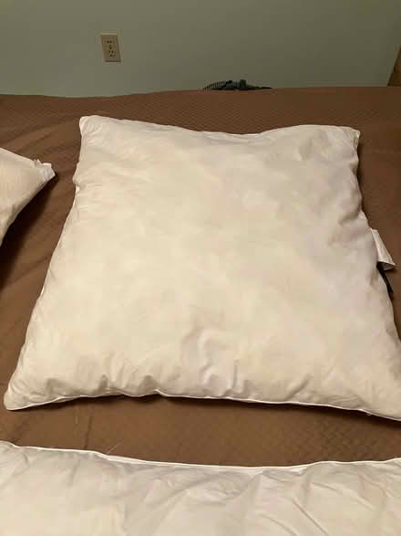 Photo of free 23” x 23” pillows (Kennedy road stop & shop,) #3