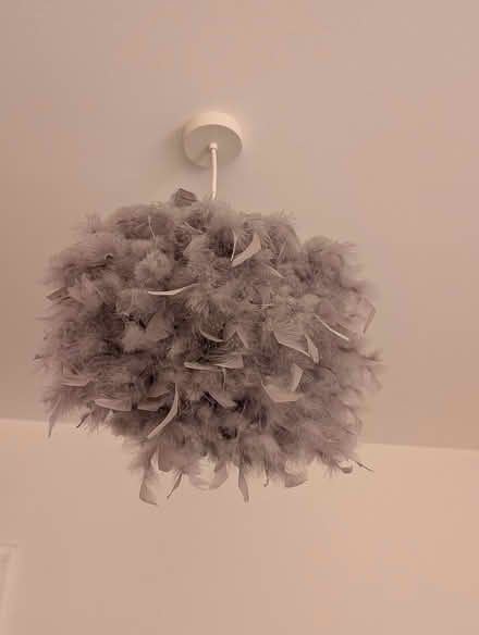 Photo of free Ceiling lamp (North Wembley) #1