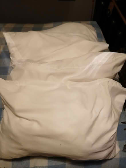 Photo of free 4 x polyester pillows (Woolverton BA2) #2