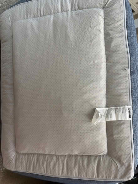 Photo of free Dog bed (Saratoga Herriman Ave) #1