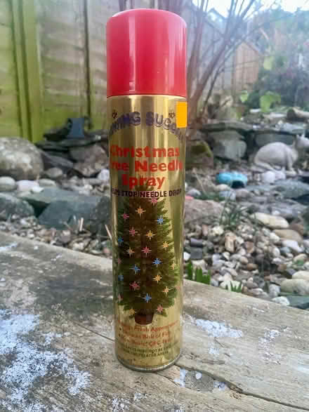 Photo of free Christmas Tree Needle Spray (Cropston LE7) #1