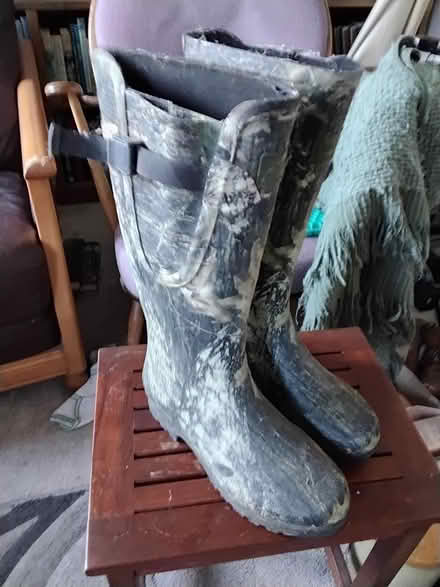 Photo of free Wellies (Grenoside S35) #1