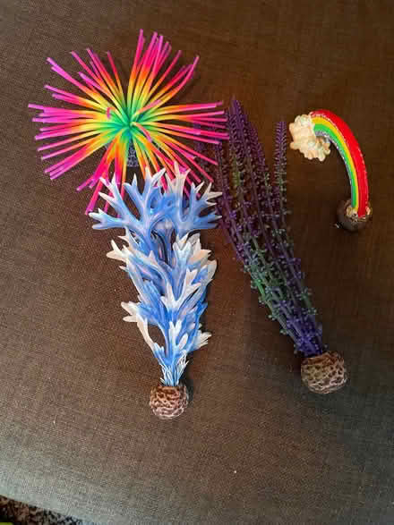 Photo of free Bio orb decorations (Thringstone LE67) #1