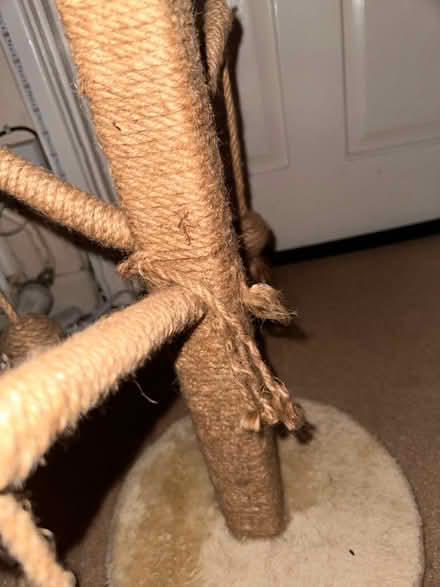 Photo of free Cat scratching post (RG30, Reading West) #2