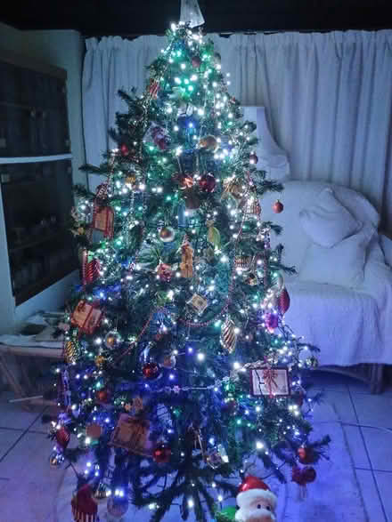 Photo of free Christmas tree 🎄 (Great Yarmouth NR30) #2