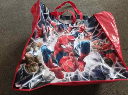Photo of free Giant Spiderman bag (Kempston MK42) #1