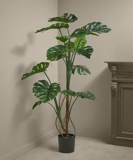 Photo of Tall Artificial plant (Round Hill BN2) #1