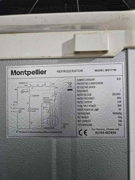 Photo of free Montpellier (N18 Edmonton) #4