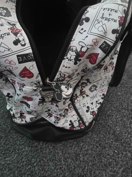 Photo of free Micky & Minnie bag (Chester CH2) #4
