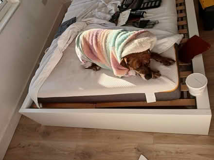 Photo of free King size ikea bad frame (SE9) #3