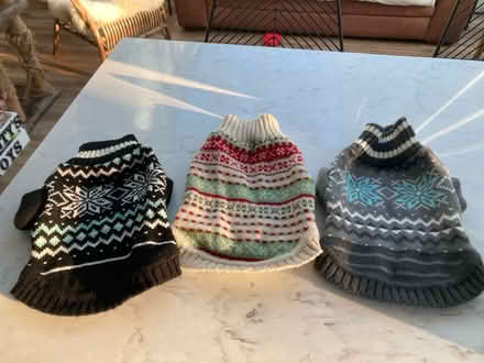 Photo of free 3 small dog jumpers (Poole) #1