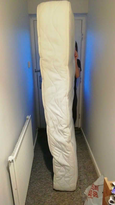 Photo of free single mattress approx 3 x 6 (Rochford SS4) #4
