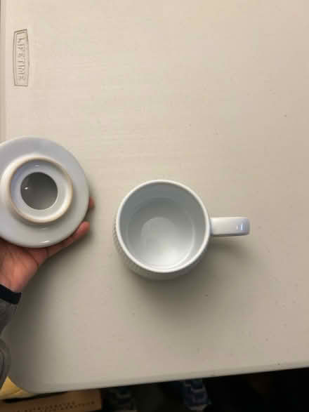 Photo of free Mushroom cup (Campbell) #3