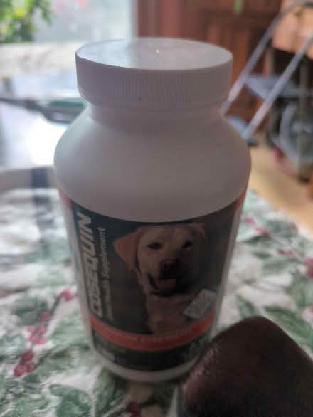 Photo of free Nearly full cosequin for dogs (Leonardo/Middletown) #1