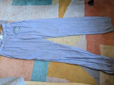 Photo of free Franklin Marshall joggers (s) (Manchester M19) #1