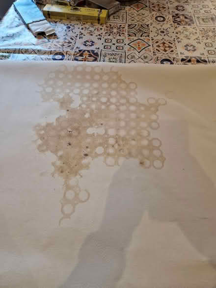 Photo of free Plastic table cover (SE16) #2