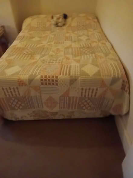 Photo of free Rosewood dining table and 8 chairs, small 1,20m double bed, small pine coffee table, pine 6 drawers desk, living room bar unit with display cabinet (Hanworth TW13) #2