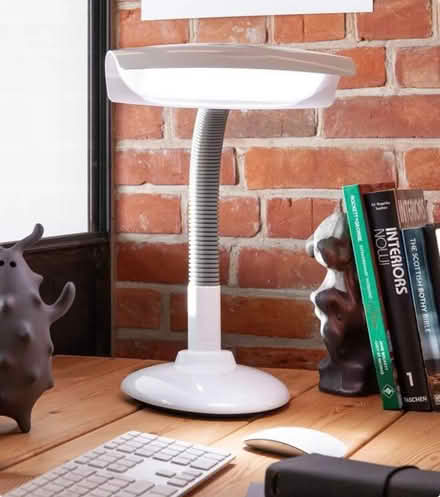 Photo of free Seasonal Affective Disorder (SAD) Desk Lamp (Welwyn AL6) #1